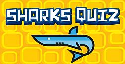 Sharks Quiz | Html5 Game | Educational Games